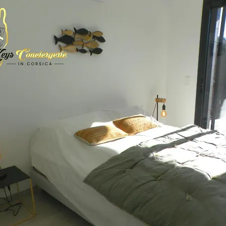 N6 Piscine Privee Chauffee, Classee 4 Etoiles, St Cyprien - Keys Conciergerie In Corsica Holiday home Lecci